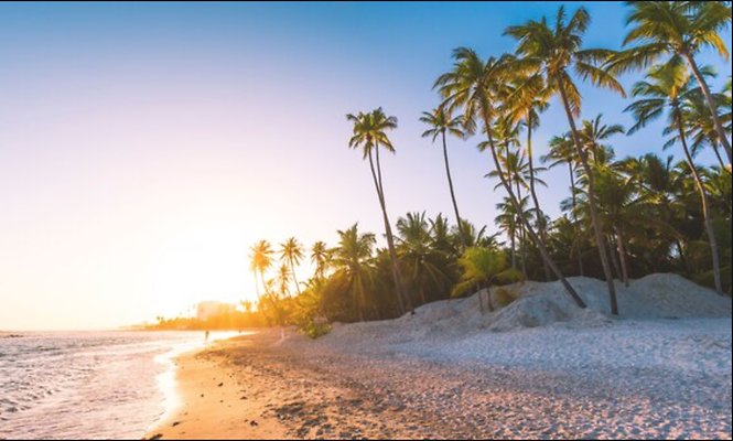 AScreen Shot 2020-11-29 at 2.46.35 AM